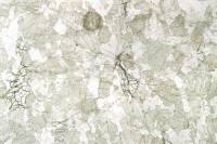 Gabbro rubané LPNA x3,5